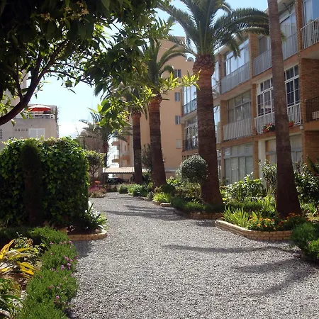 On The Of Albir * El Albir