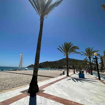 On The Of Albir El Albir
