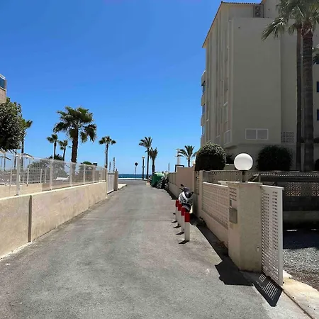 On The Of Albir * El Albir