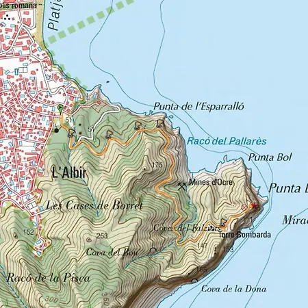 On The Of Albir * El Albir