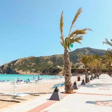 On The Of Albir *